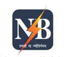 NBPDCL logo